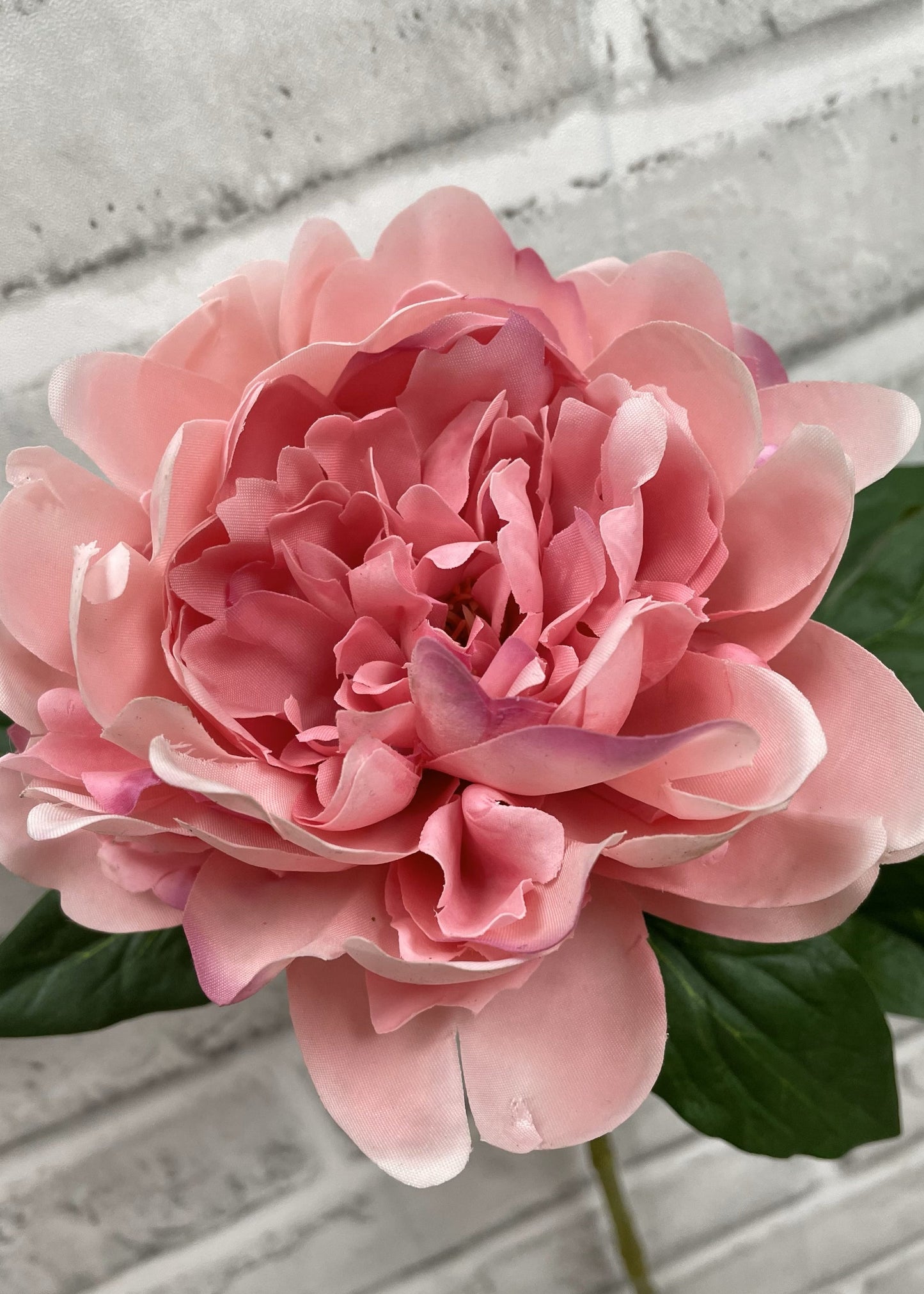23" PINK FRESH TOUCH PEONY STEM