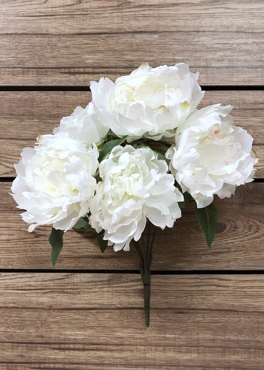 WHITE PEONY BUSH