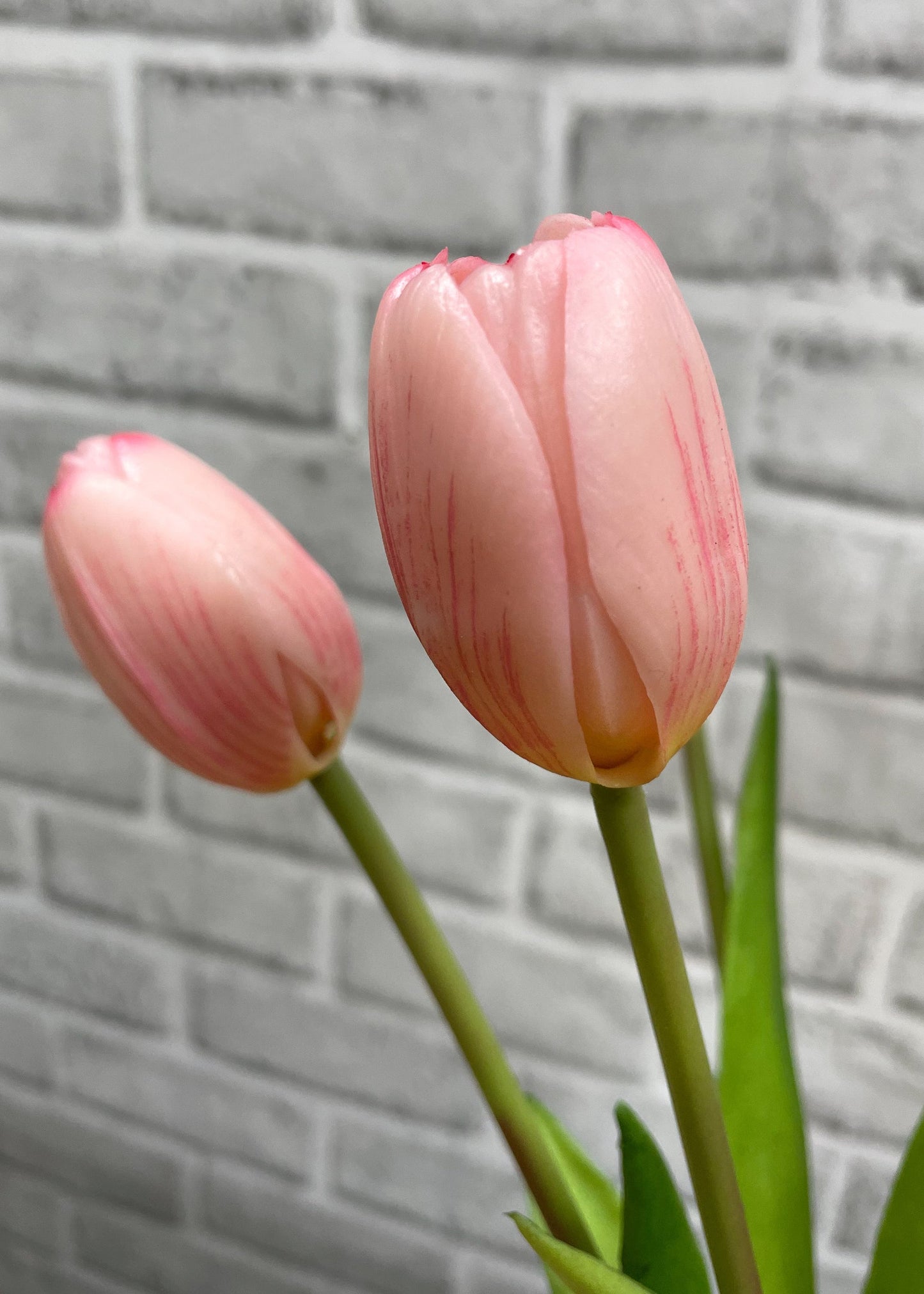 16" FRESH TOUCH PINK TULIPS