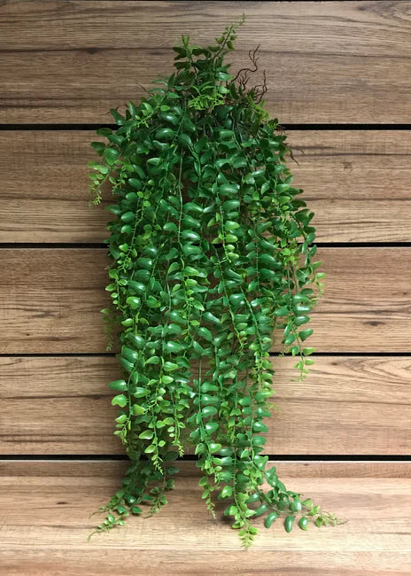HANGING FERN VINE BUSH
