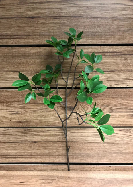 31" FICUS SPRAY