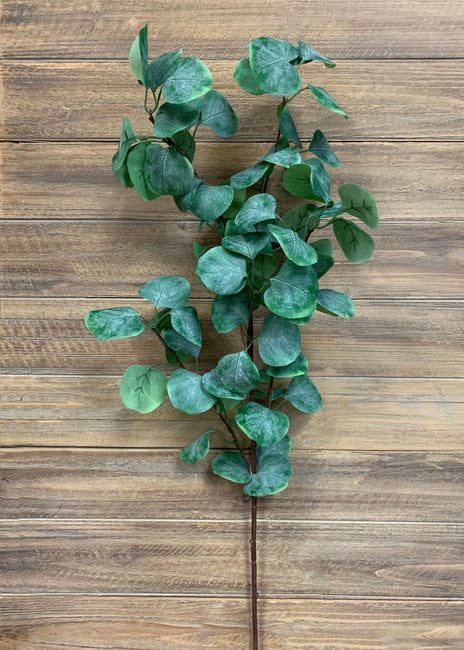 33" EUCALYPTUS SPRAY