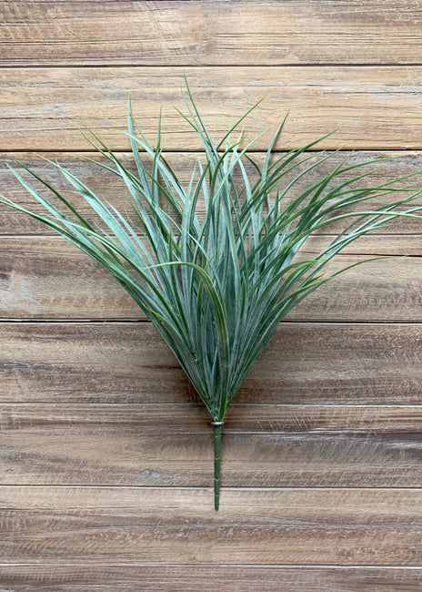 GREEN GRASS BUSH
