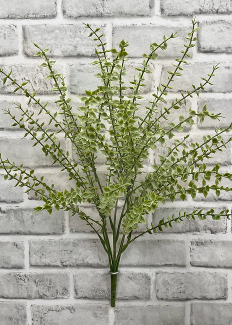 MINI EUCALYPTUS BUSH 20"