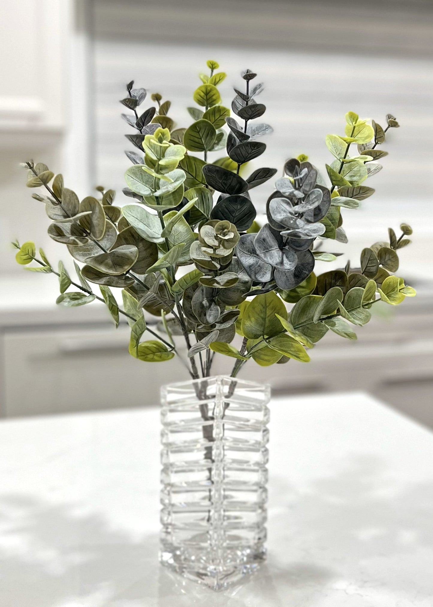 19" BLUE GREEN EUCALYPTUS BUSH