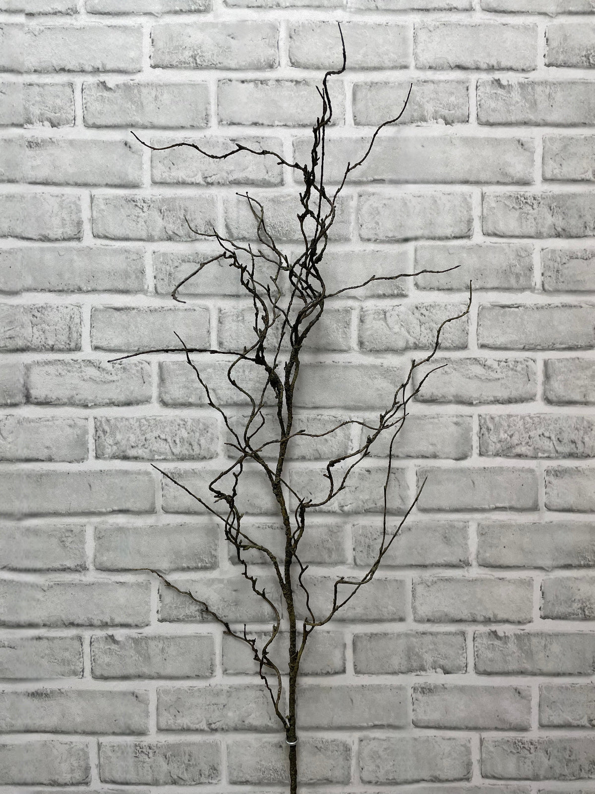 TWIG BRANCH 49"