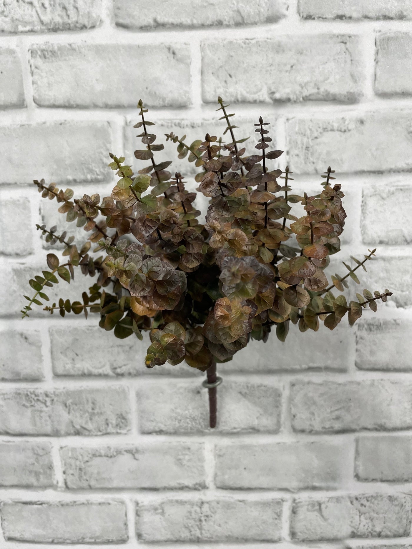 FALL BROWN EUCALYPTUS BUNDLE