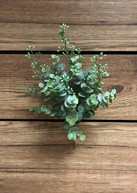 EUCALYPTUS BUSH WITH BUDS