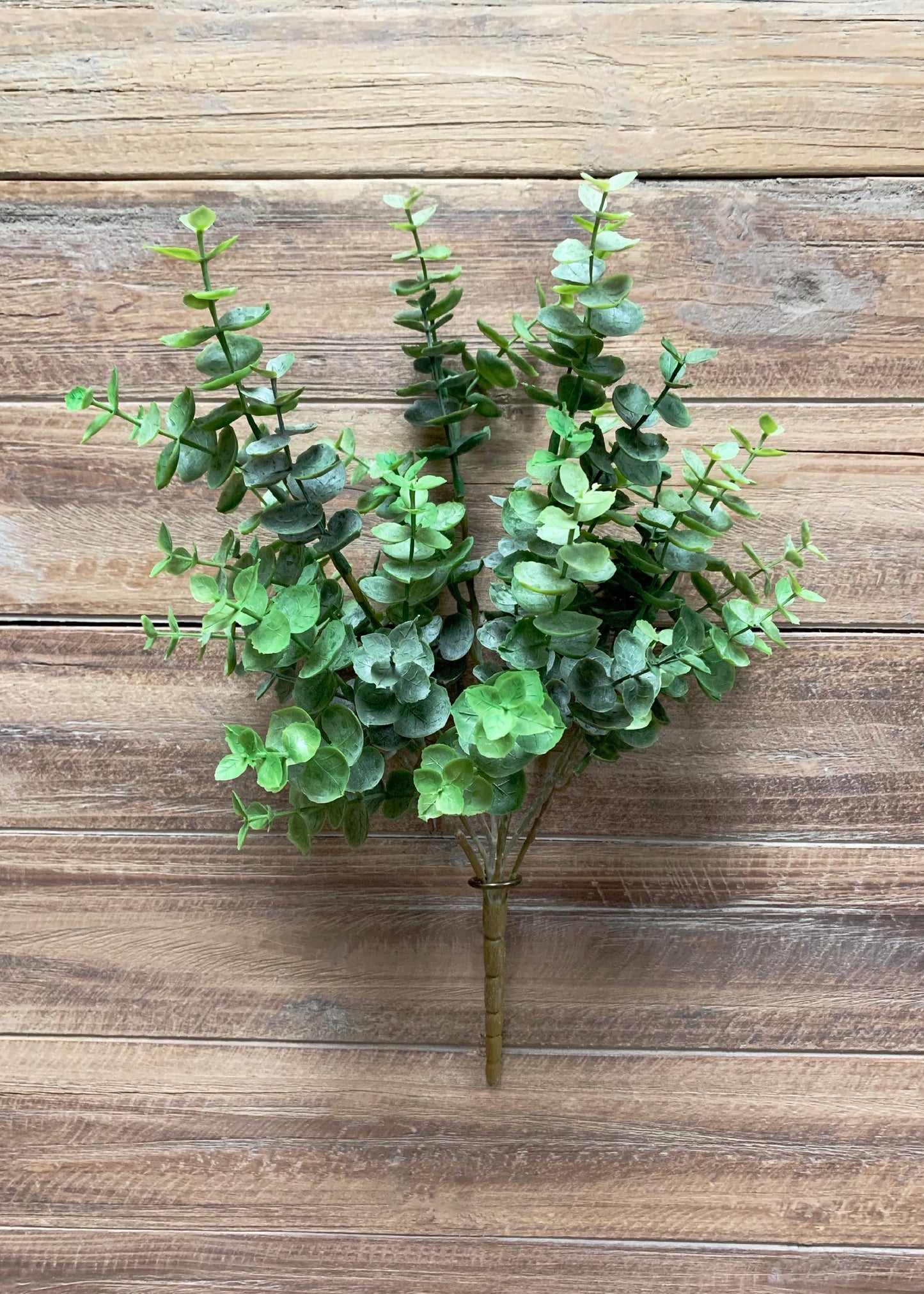15.5" EUCALYPTUS BUSH