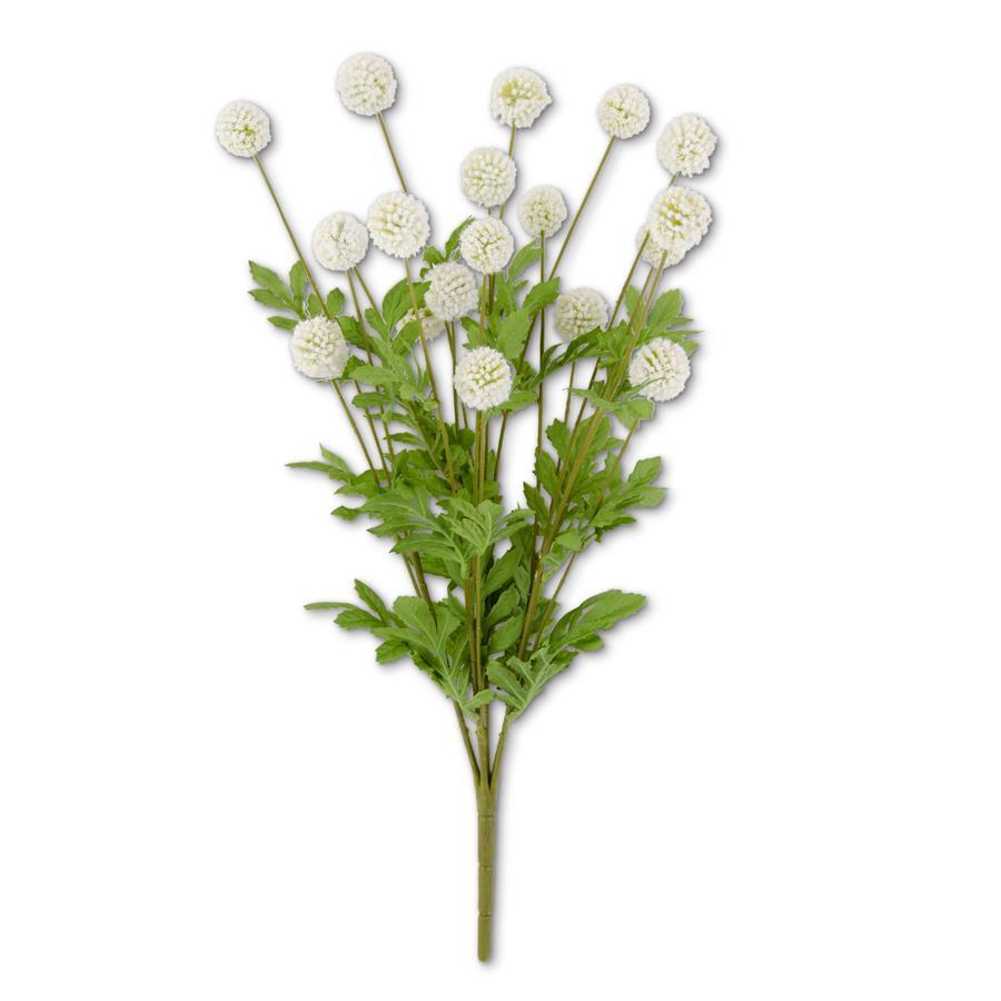 WHITE ALLIUM BUSH