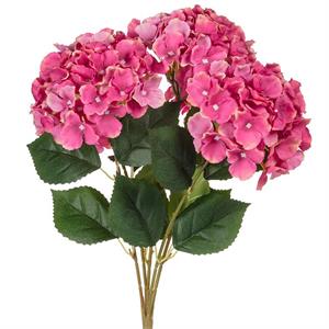 LARGE STEM HYDRANGEA