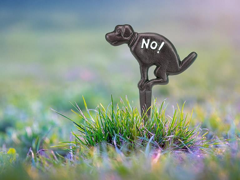NO DOG GROUND SIGN