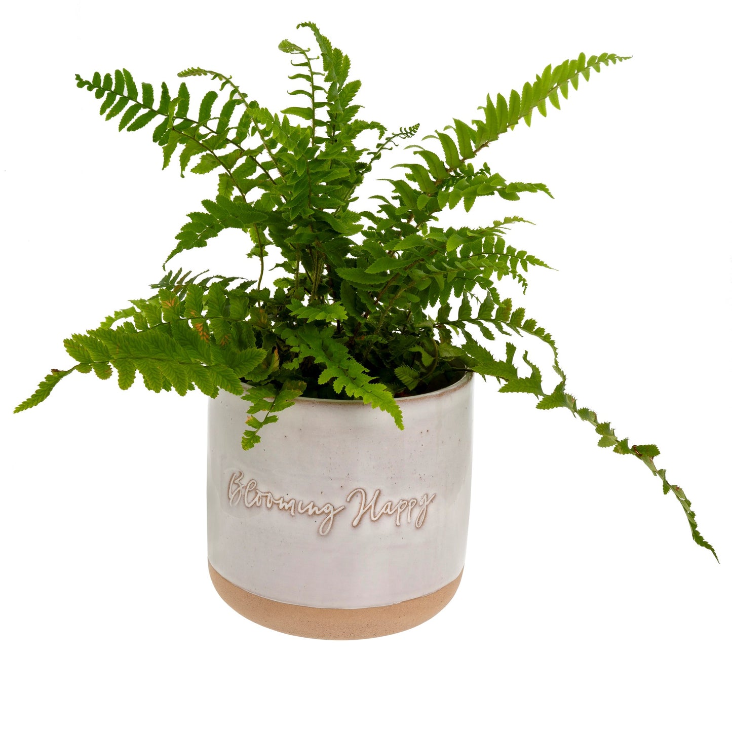 BLOOMING HAPPY STONEWARE POT
