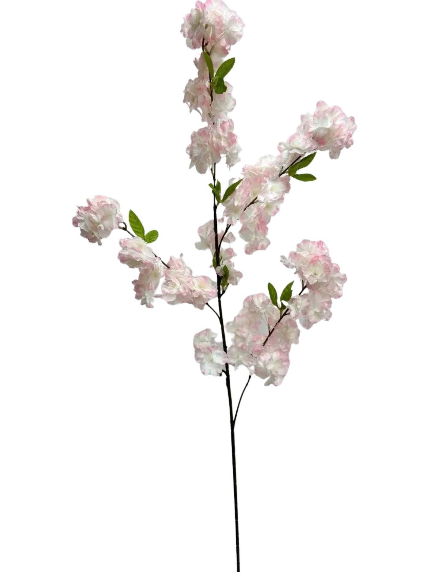 CHERRY BLOSSOM STEM