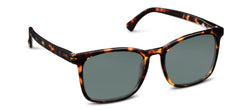 MATEO SUNGLASSES - TORTOISE