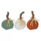 LONG STEMMED PUMPKINS
