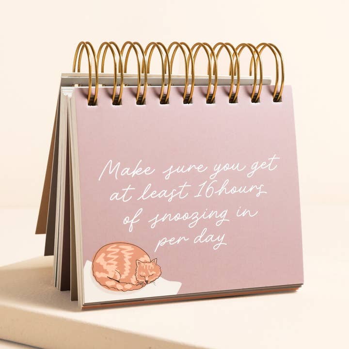 BE MORE CAT FLIP CHART