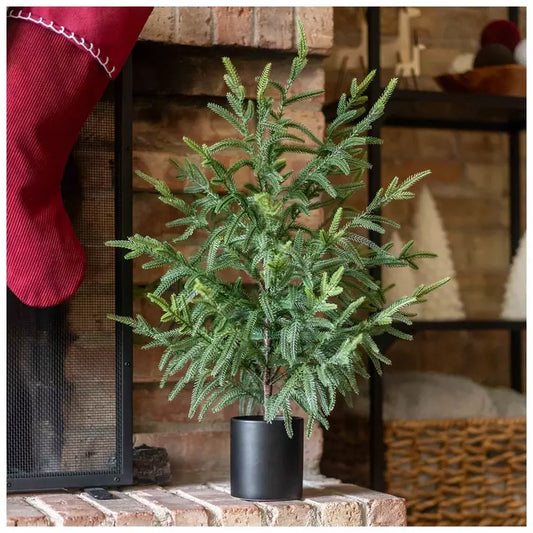REAL TOUCH PINE TREE IN POT