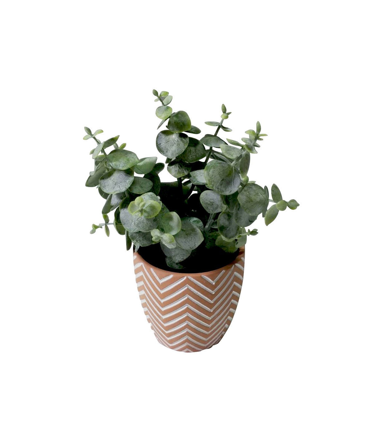 EUCALYPTUS TERRACOTTA POT