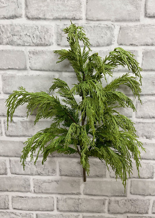 20" FRESH TOUCH WHISPY CEDAR BUSH