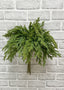 17" FRESH TOUCH BABY NORFOLK PINE BUNDLE
