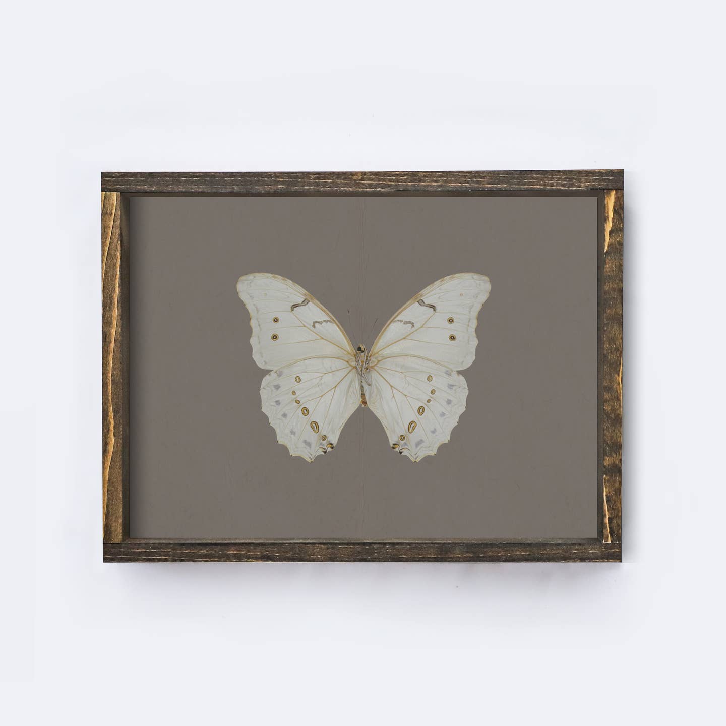 BUTTERFLY WOOD FRAMED ART
