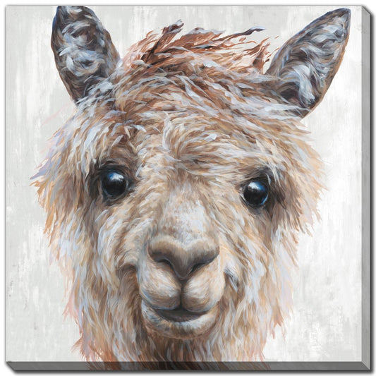 ALPACA CANVAS