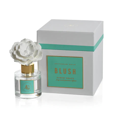 APOTHECARY BLUSH PORCELAIN DIFFUSER