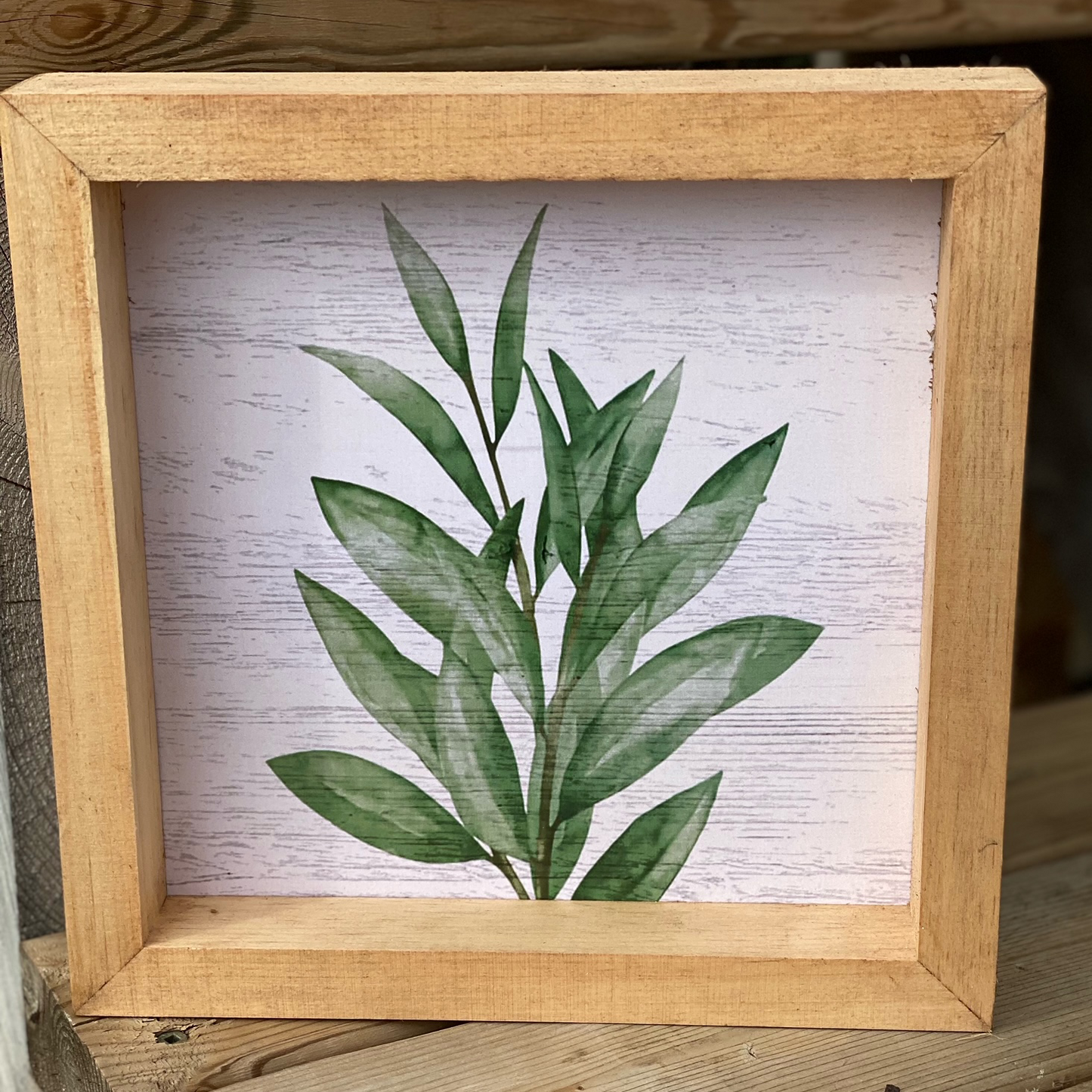 LAMBS EAR (GREEN) FRAMED PRINT