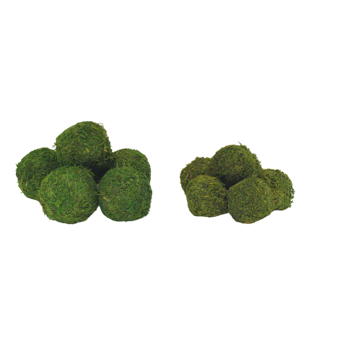 MOSS BALLS