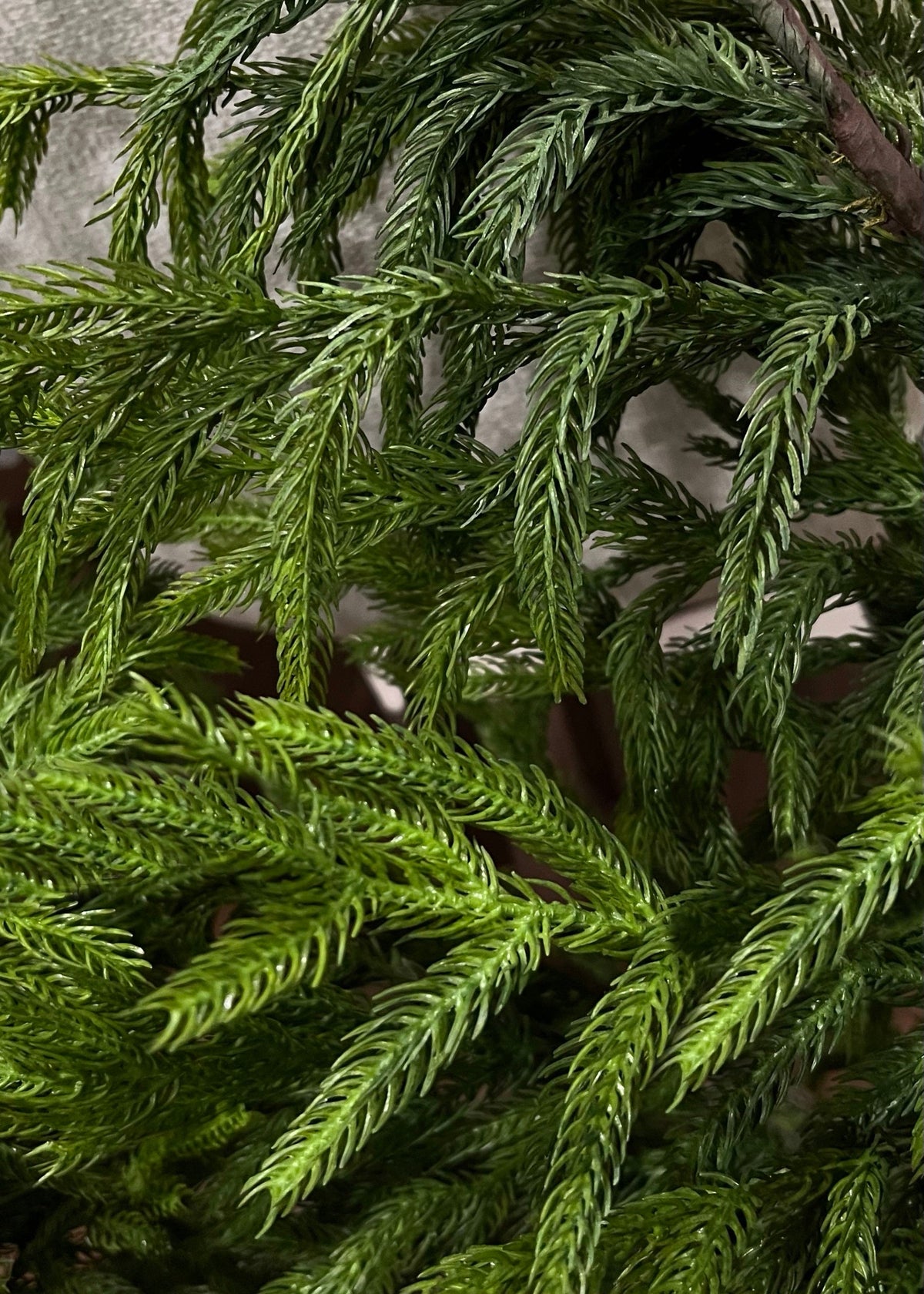 NORFOLK PINE CANDLE RING