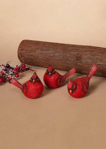 CARDINAL WITH ACCENT