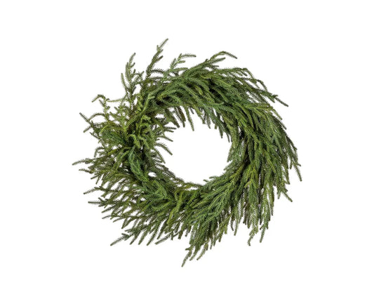24" NORFOLK PINE WREATH