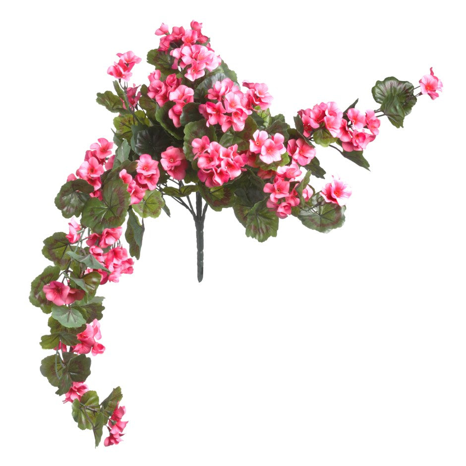 HANGING GERANIUM BUSH 30"