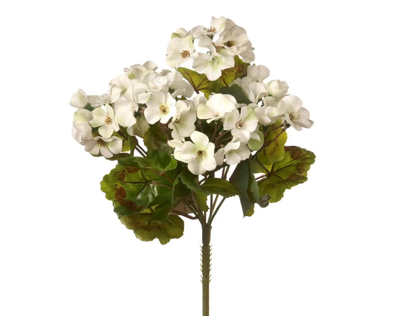 UV PROTECTED GERANIUM BUNCH