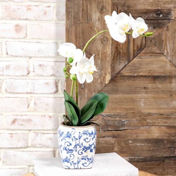 WHITE 2 STEM ORCHID IN RUSTIC POT