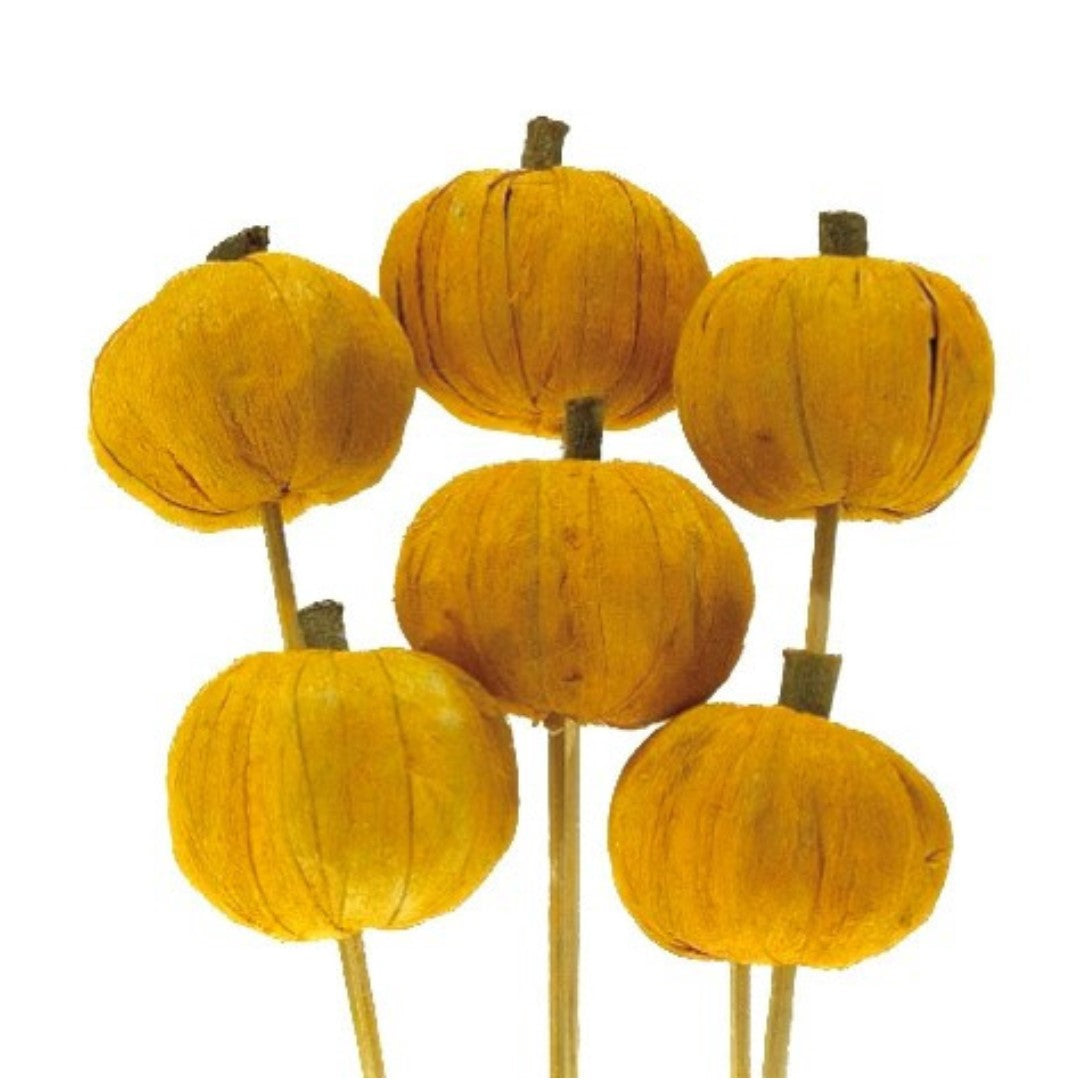 PUMPKINS ON STEM- ORANGE