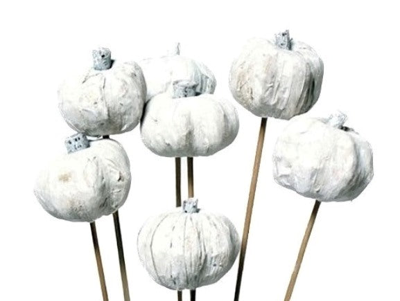 PUMPKINS ON STEM- WHITE