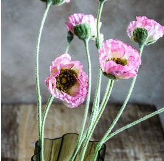 PINK POPPY FLOWER STEM