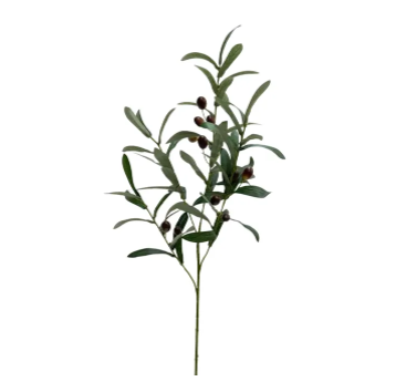 OLIVE STEMS 40"