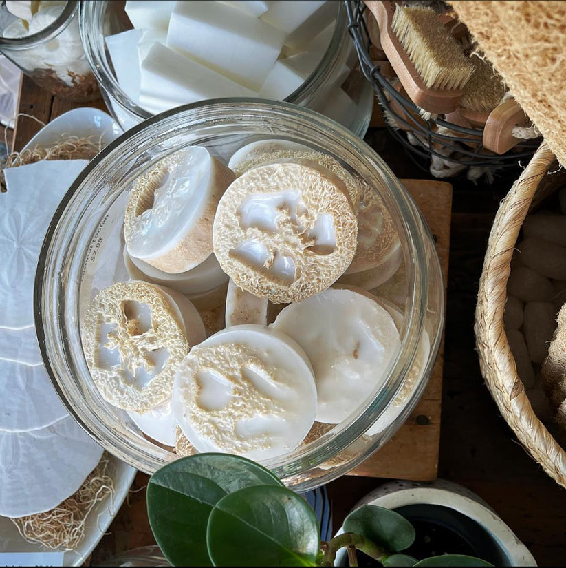 COCONUT LOOFAH BAR SOAP