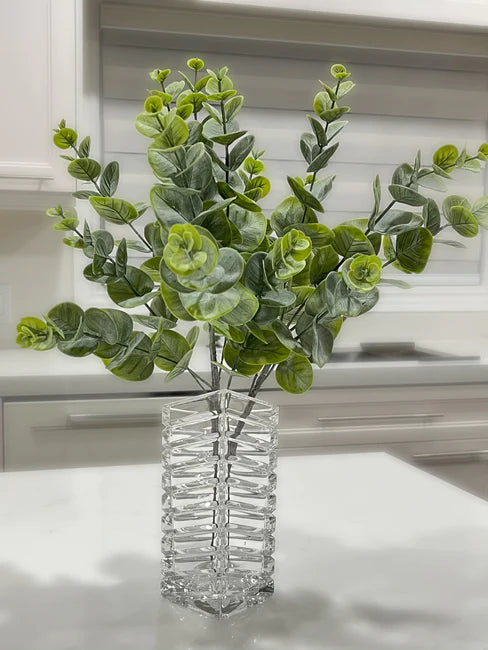 MATTE EUCALYPTUS BUSH