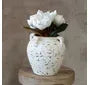 VINTAGE WHITE TERRA COTTA VASE