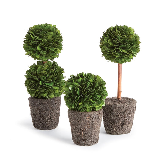 BOXWOOD MINI TOPIARY DROP-IN