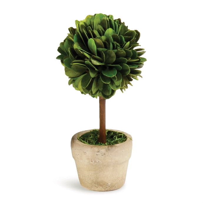 MINI BOXWOOD TOPIARY