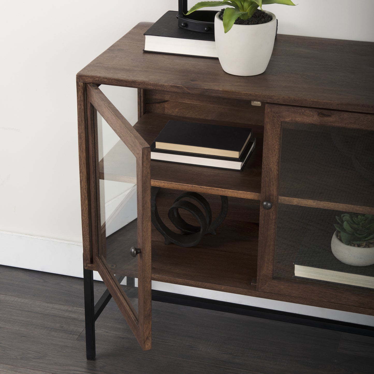 ARELIUS GLASS DOOR ACCENT CABINET