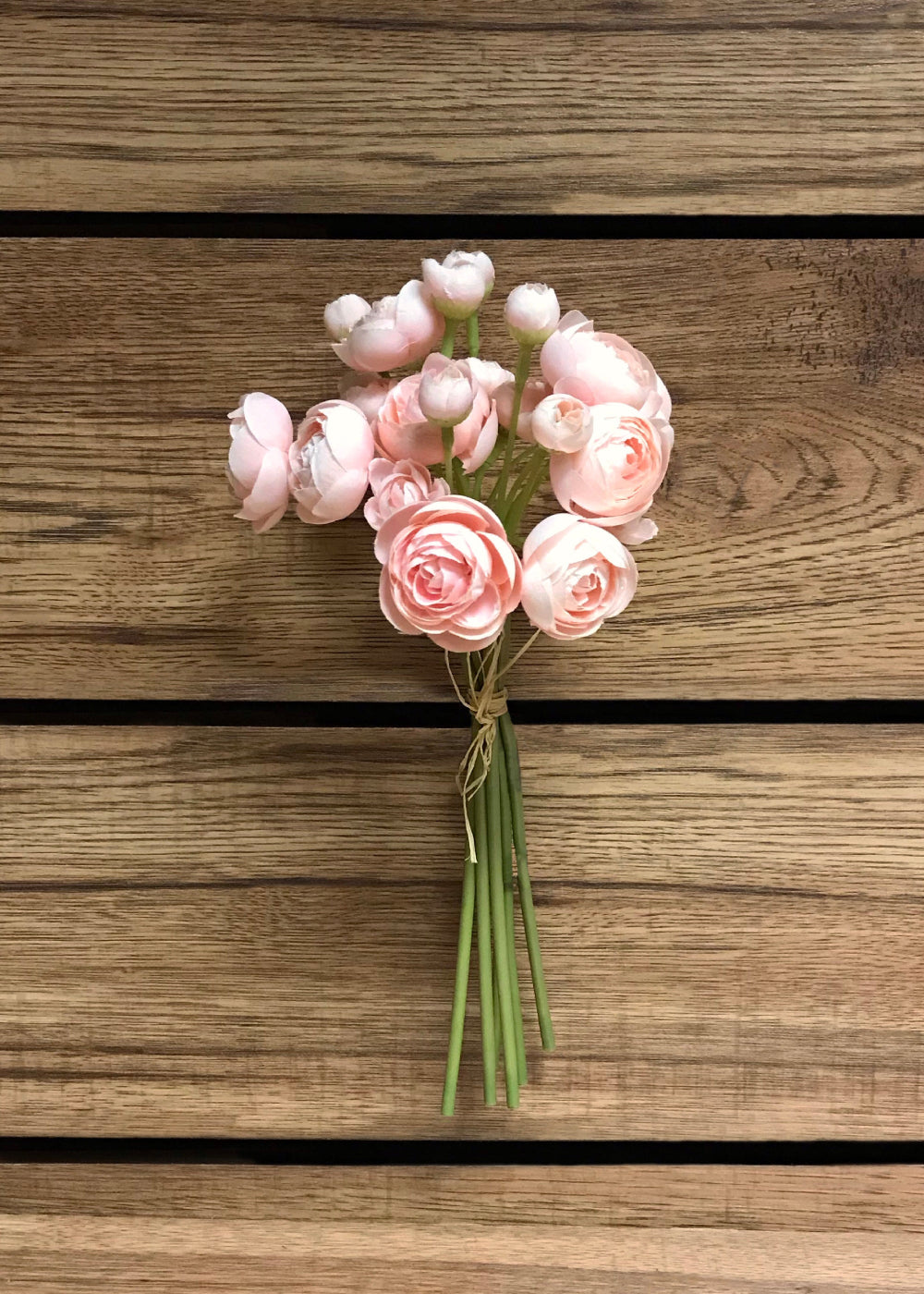 BLUSH RANUNCULUS