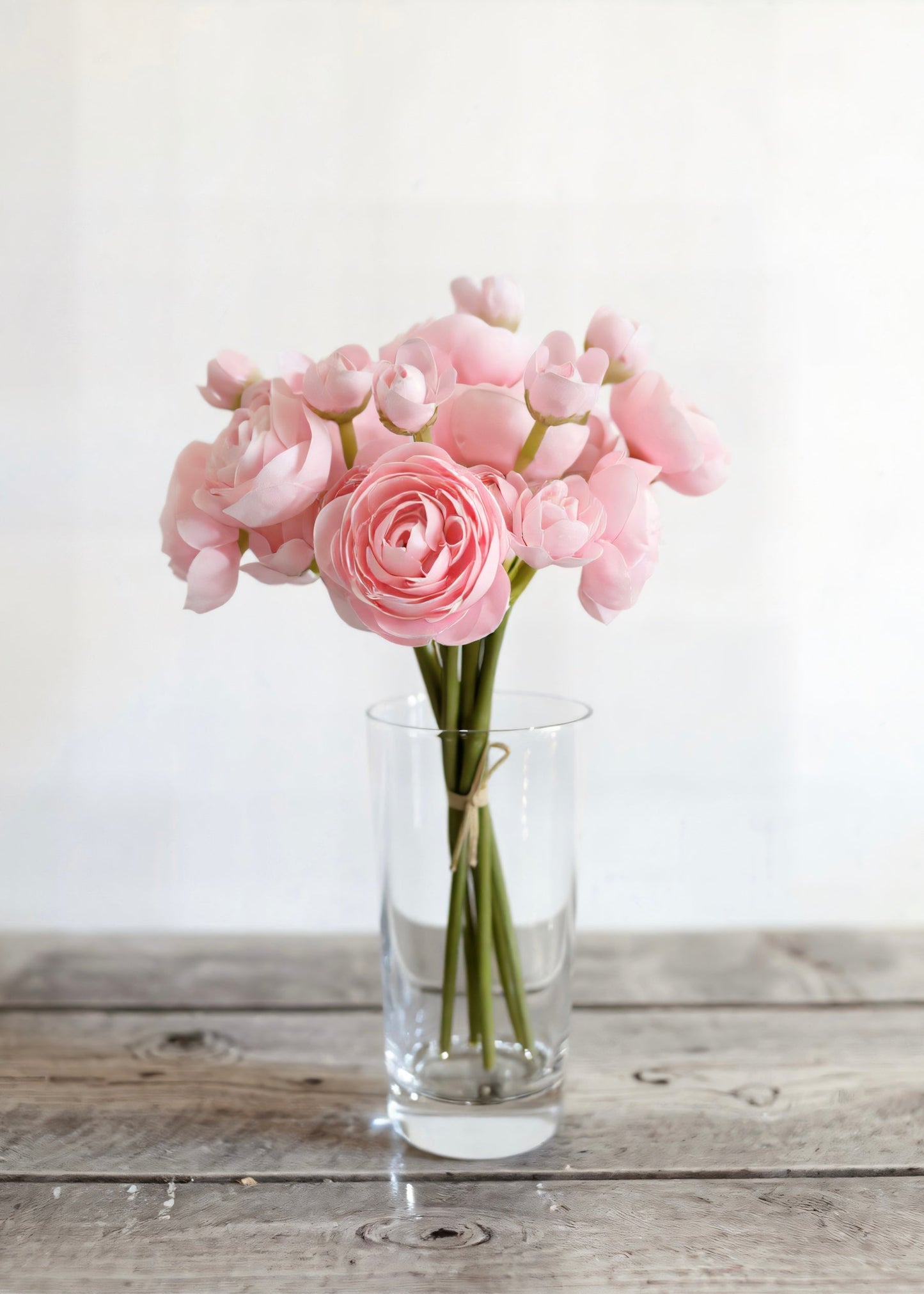 LIGHT PINK RANUNCULUS