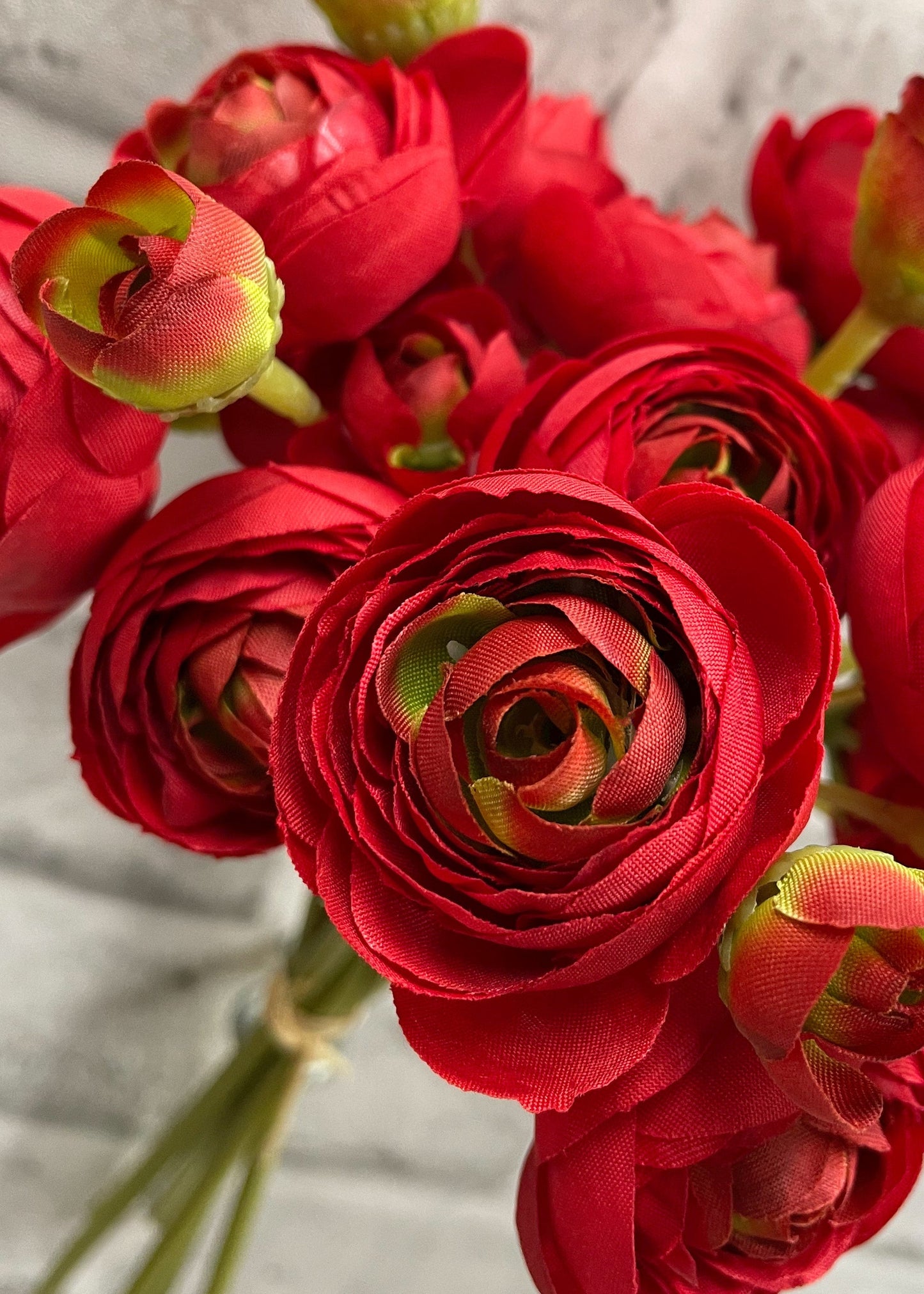 RED RANUNCULUS