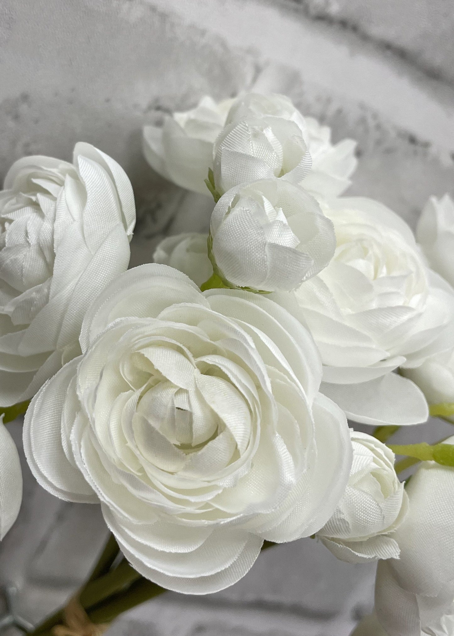 WHITE RANUNCULUS